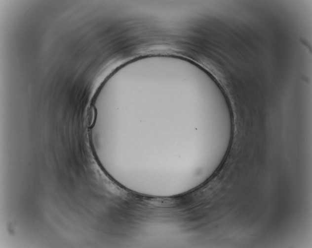 X0000100861392200807111242