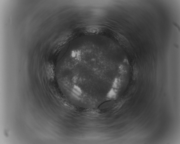 X0000100861394200807111241