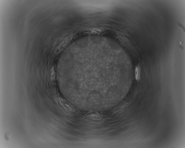 X0000100861395200807111241