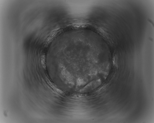 X0000100861396200807111241