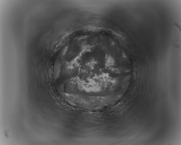 X0000100861397200807111241