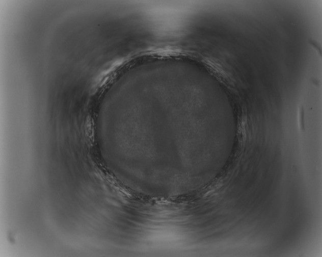 X0000100861398200807111241