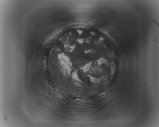 X0000100861399200807111241