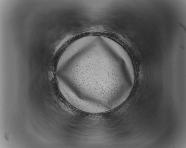 X0000100861400200807111242