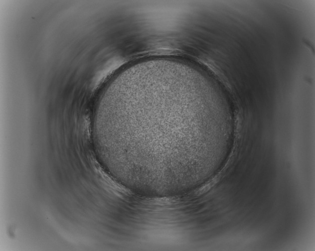 X0000100861402200807111242