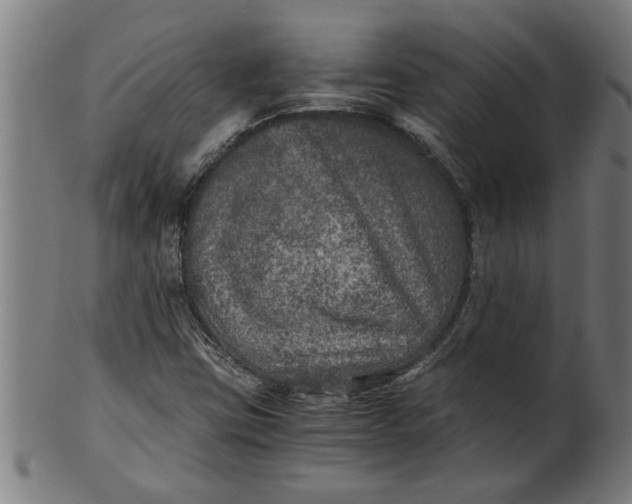 X0000100861403200807111242