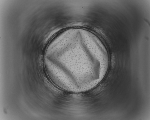 X0000100861404200807111242