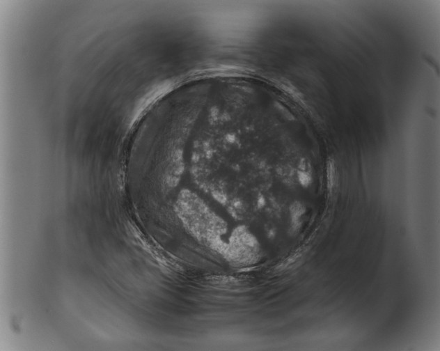 X0000100861405200807111242