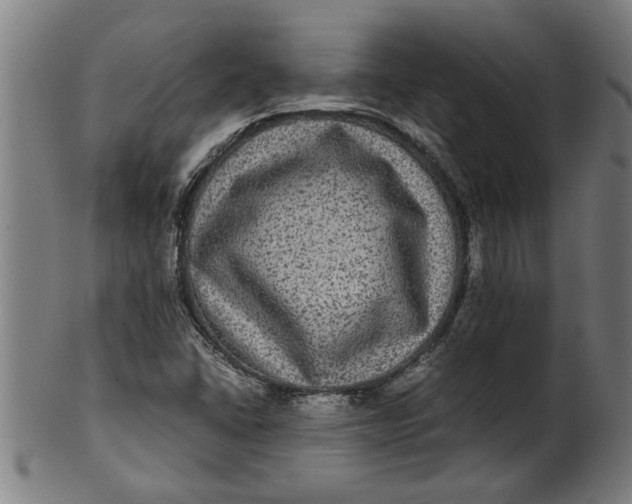 X0000100861406200807111242