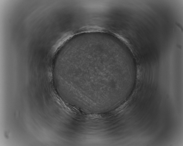 X0000100861407200807111242