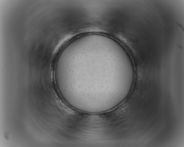 X0000100861408200807111242