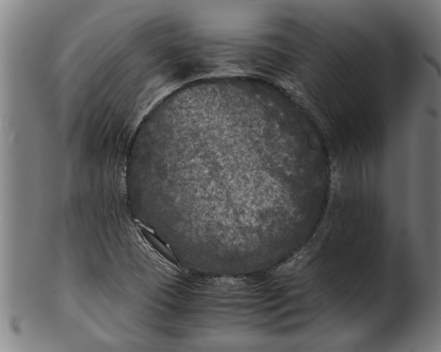 X0000100861409200807111242