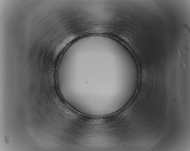 X0000100861410200807111242