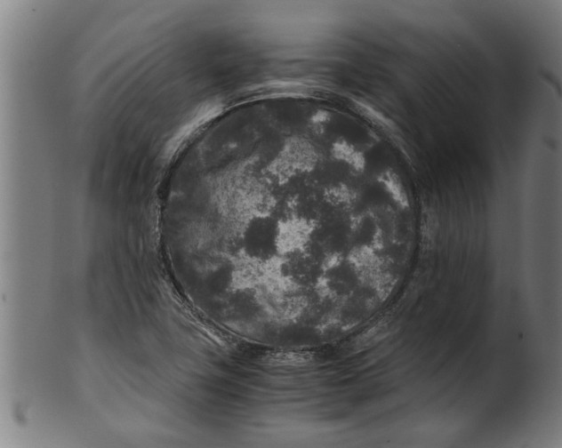 X0000100861411200807111242