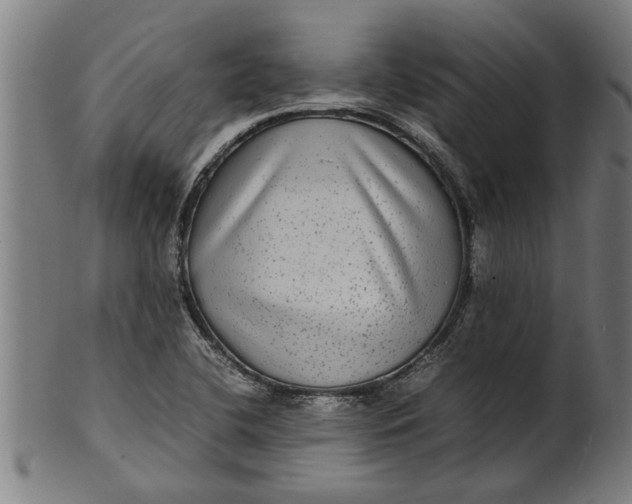 X0000100861412200807111242