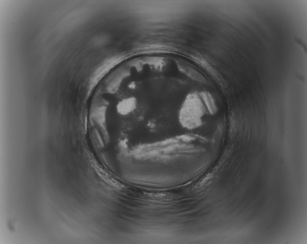 X0000100861413200807111242