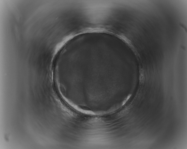 X0000100861414200807111242