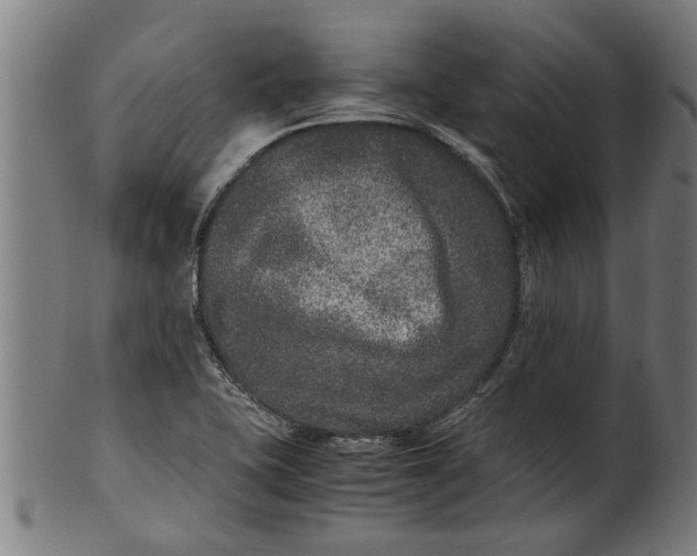 X0000100861415200807111242