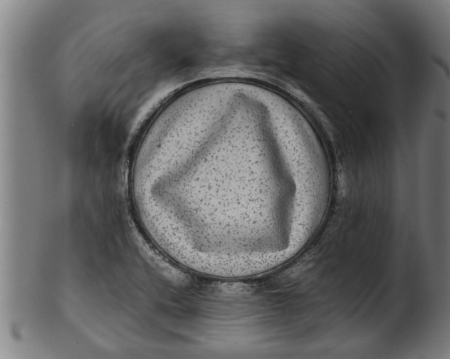 X0000100861416200807111242