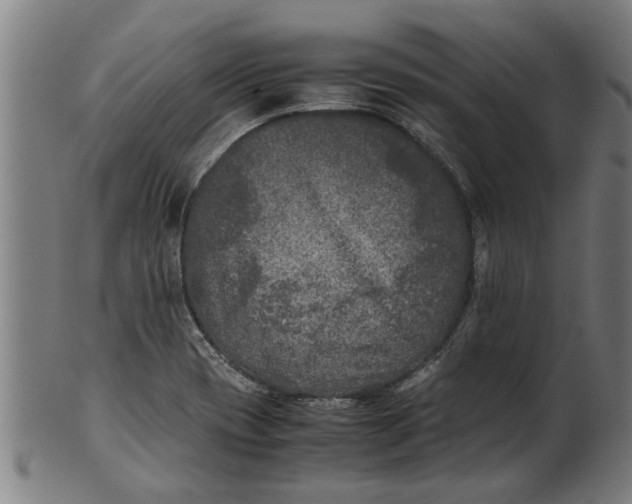 X0000100861417200807111242