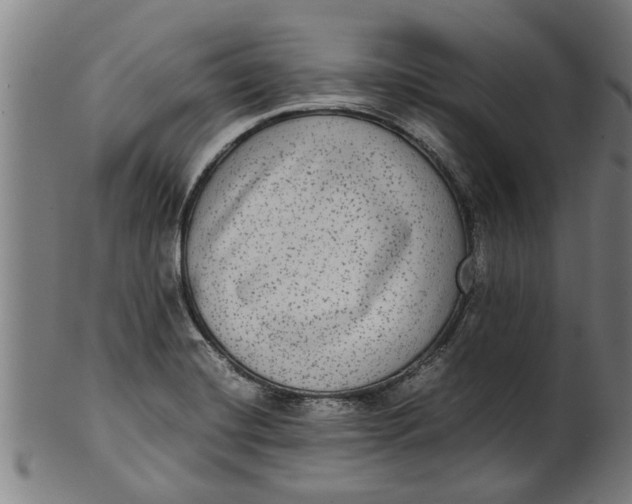 X0000100861420200807111242