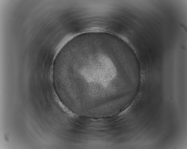 X0000100861421200807111242