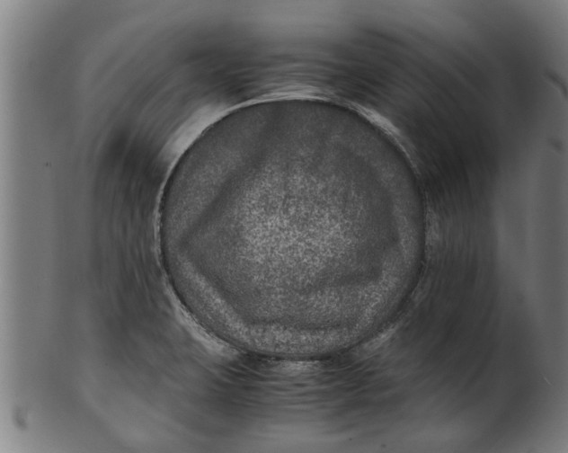 X0000100861423200807111242