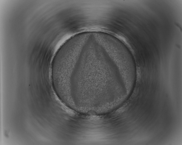 X0000100861424200807111242