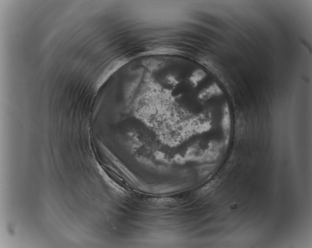 X0000100861425200807111242