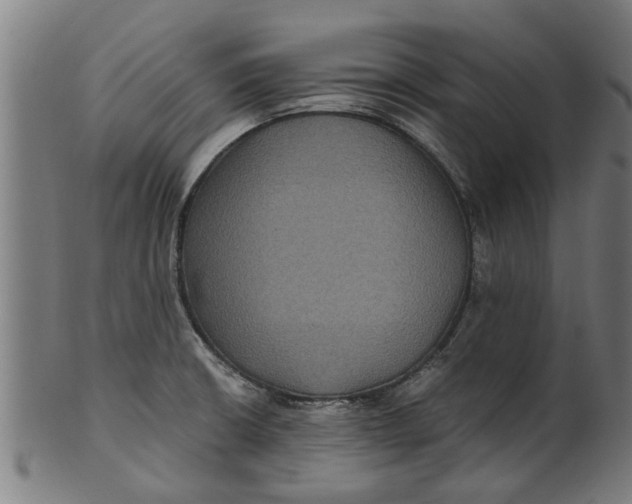 X0000100861426200807111242