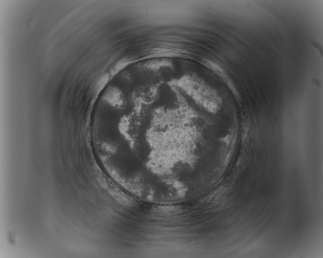 X0000100861427200807111242