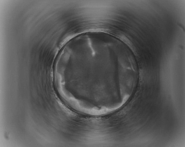 X0000100861428200807111242