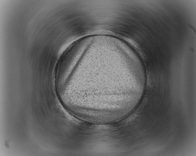 X0000100861430200807111242