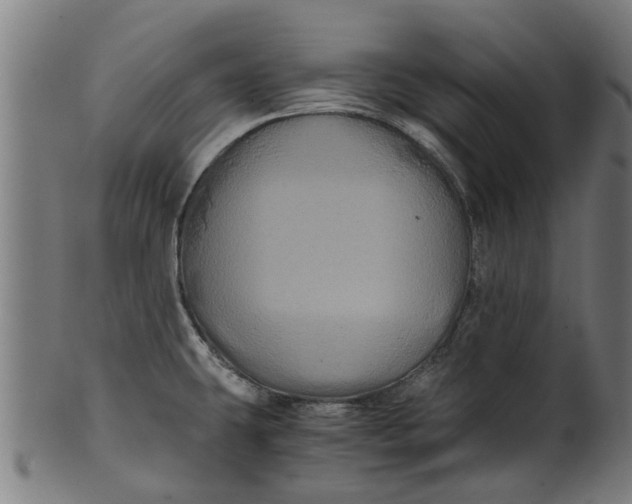 X0000100861431200807111242