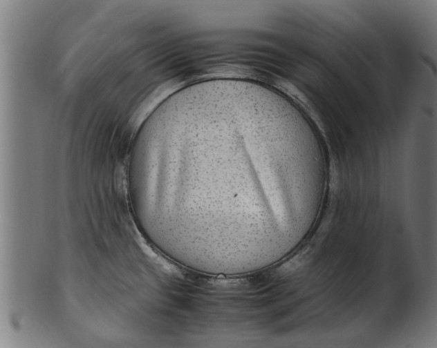 X0000100861433200807111242