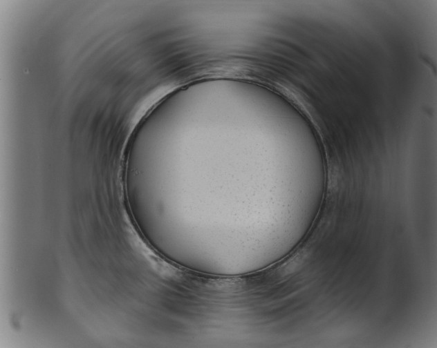 X0000100861434200807111242