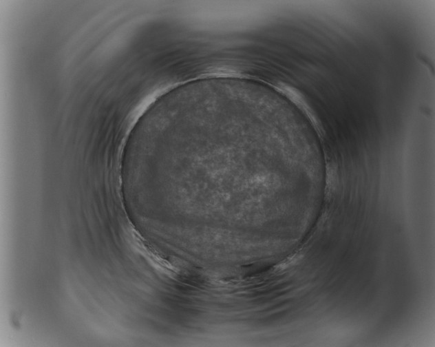 X0000100861435200807111242