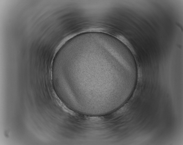 X0000100861436200807111242