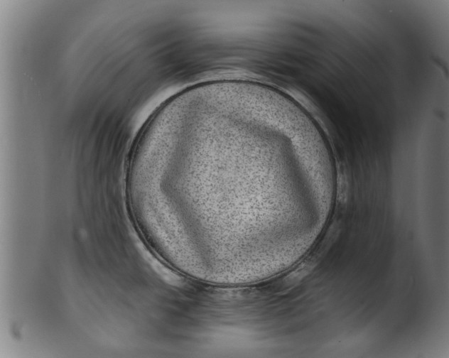 X0000100861438200807111242