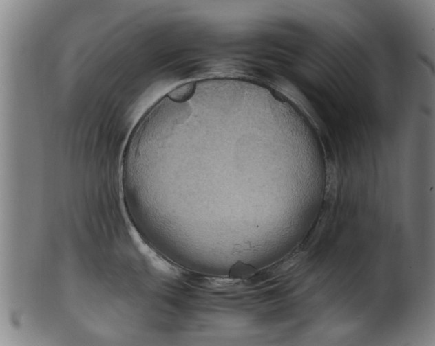 X0000100861439200807111242