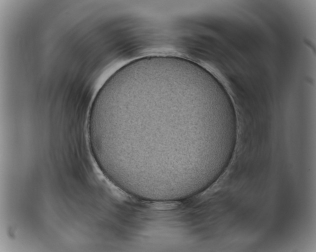 X0000100861440200807111242