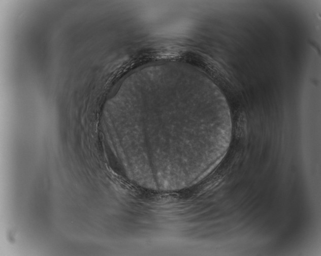 X0000100861441200807111241