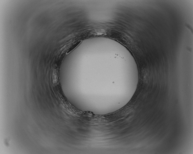 X0000100861442200807111241