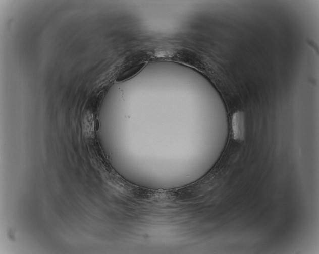 X0000100861443200807111241