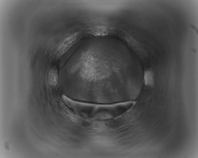 X0000100861444200807111241