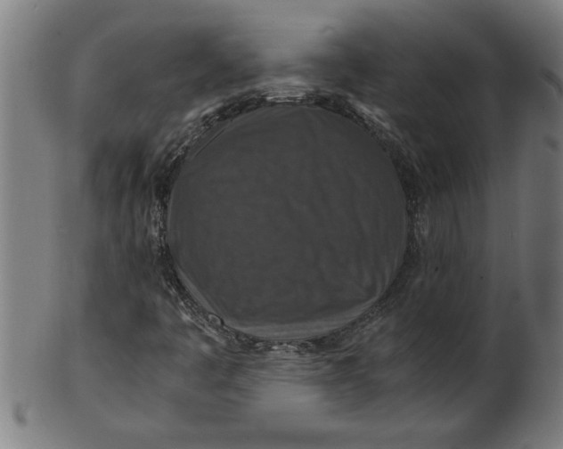 X0000100861445200807111241