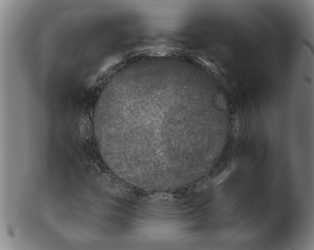 X0000100861446200807111241