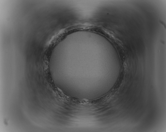 X0000100861447200807111241