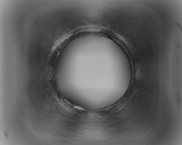 X0000100861448200807111241