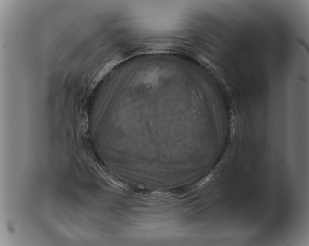 X0000100861449200807111241